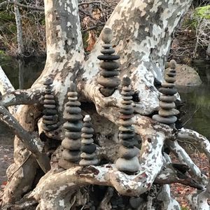 Meet your Posher, Cathi